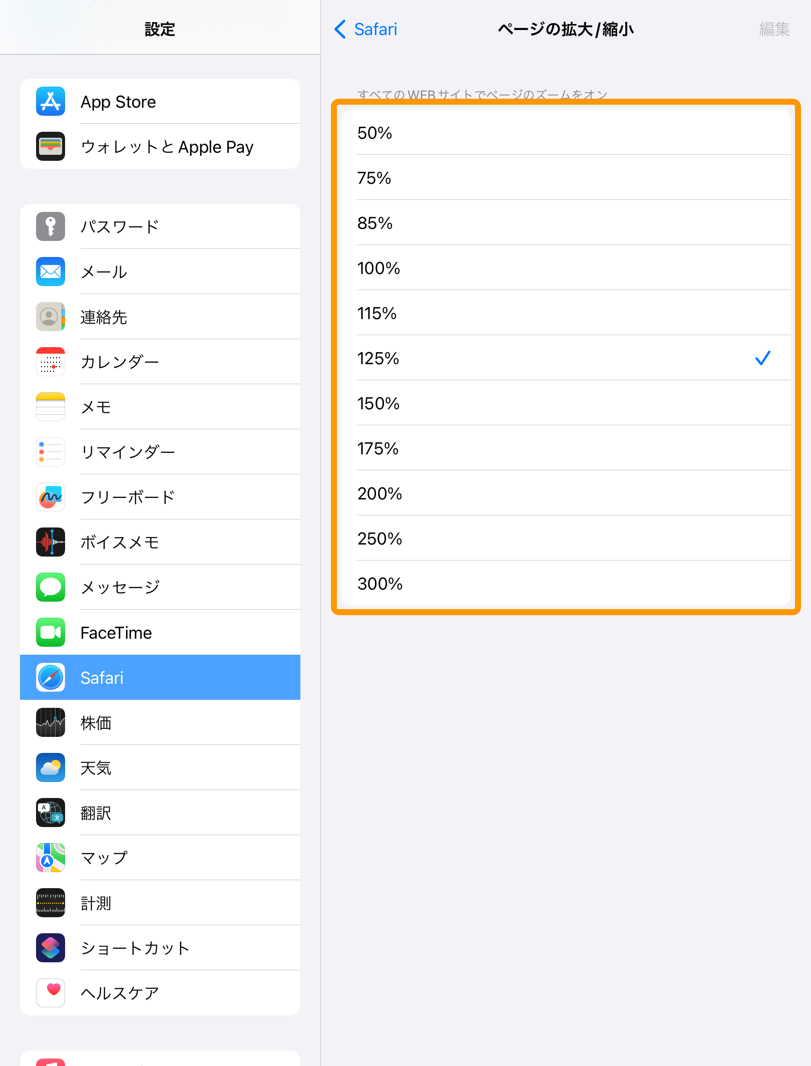 09 iPad 設定アプリ Safari ページの拡大／縮小 125%選択